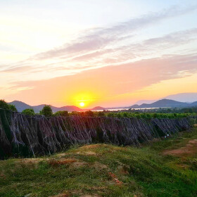 Roter Kampot Pfeffer